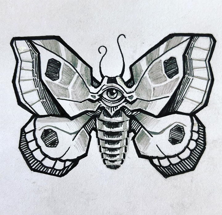 Butterfly Sketch